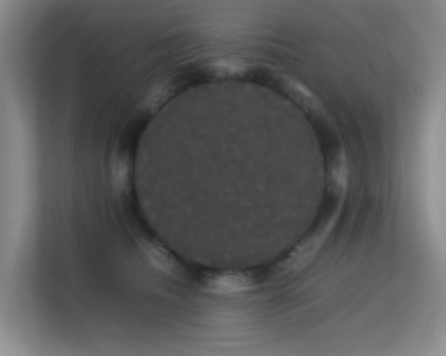 X0000113850468200909241251