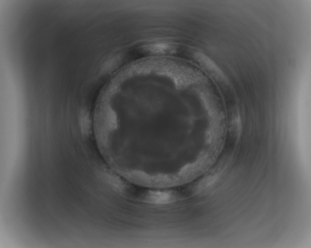 X0000113850469200909241251