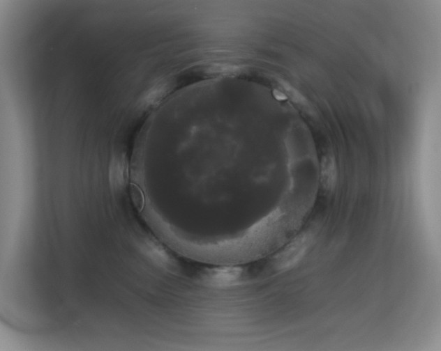 X0000113850474200909241251