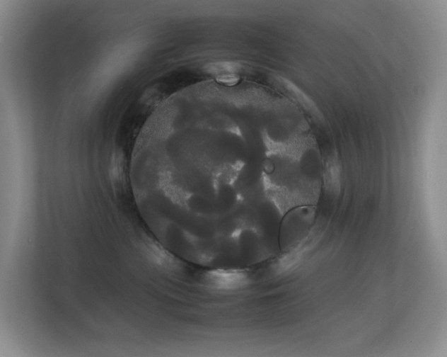 X0000113850477200909241251