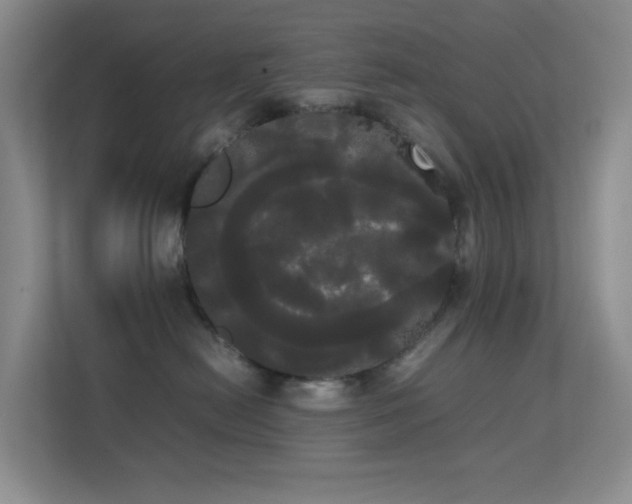 X0000113850478200909241251