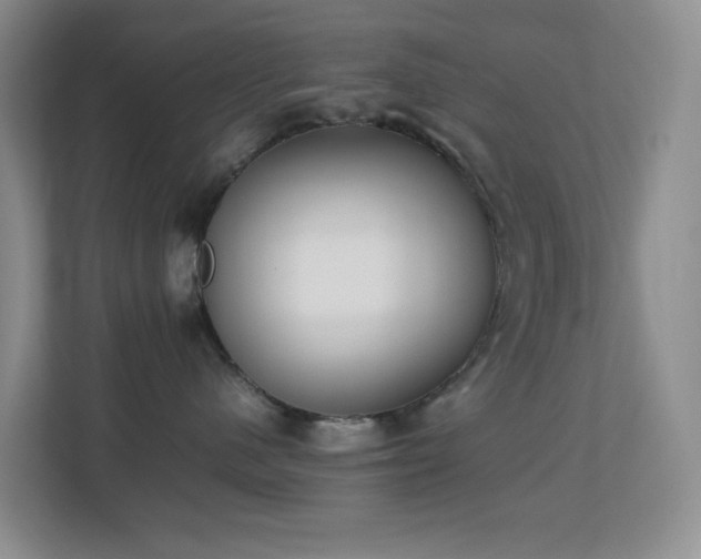 X0000113850480200909241251