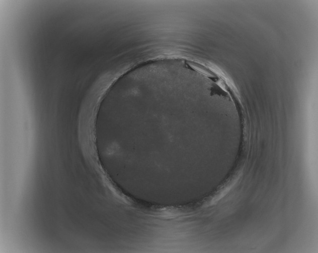 X0000113850481200909241251