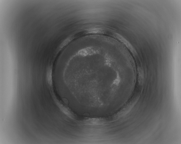 X0000113850482200909241251