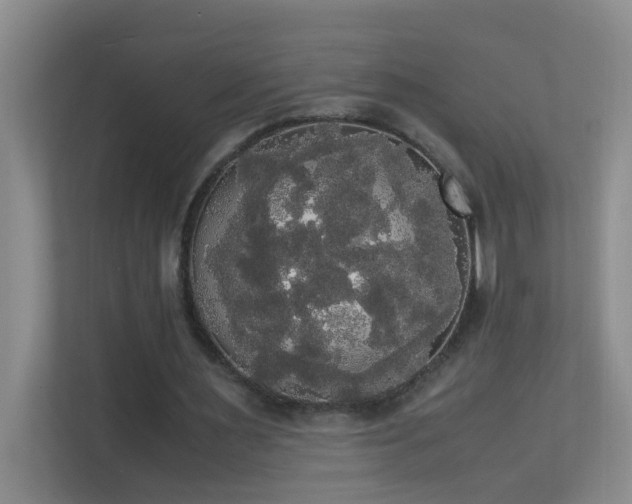 X0000113850483200909241251