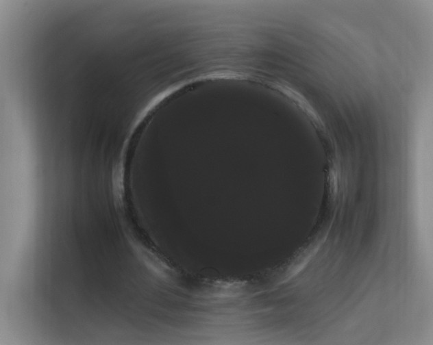 X0000113850484200909241251