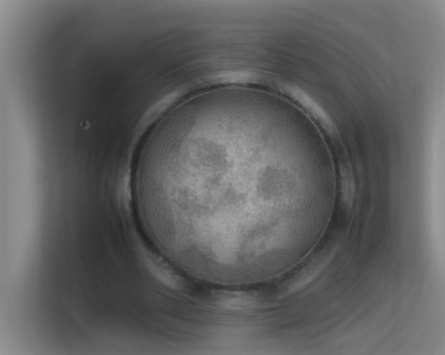 X0000113850486200909241250