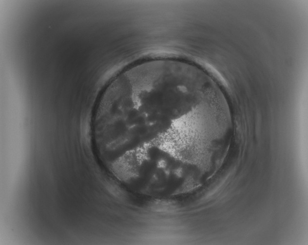 X0000113850487200909241250