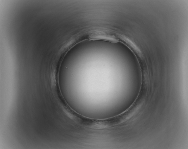 X0000113850489200909241250