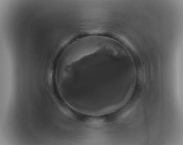 X0000113850491200909241250