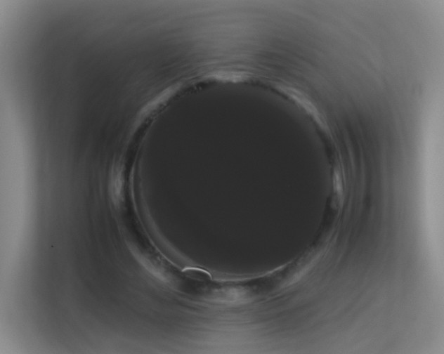 X0000113850492200909241250