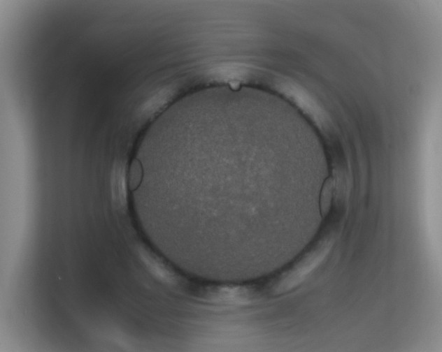 X0000113850493200909241250