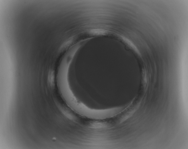 X0000113850494200909241250