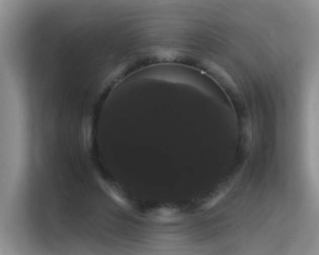 X0000113850496200909241250