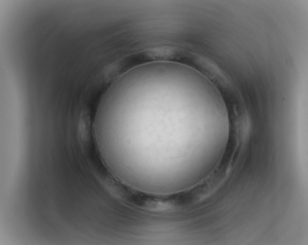 X0000113850498200909241250