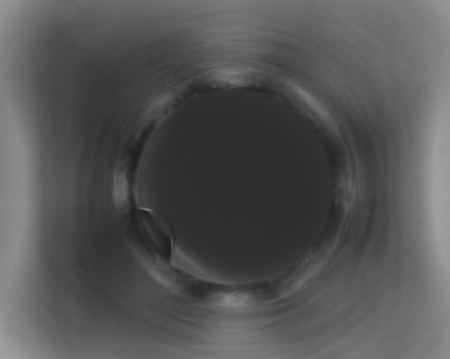 X0000113850500200909241250