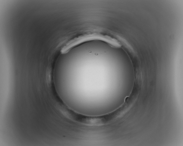 X0000113850501200909241250