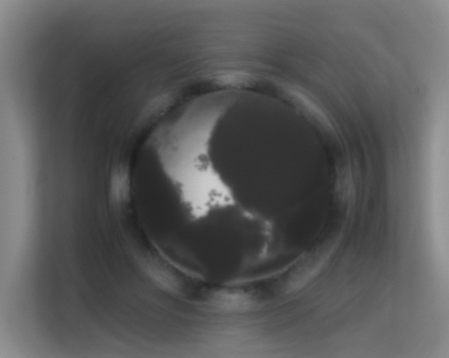 X0000113850502200909241250