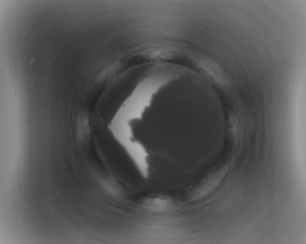 X0000113850506200909241250