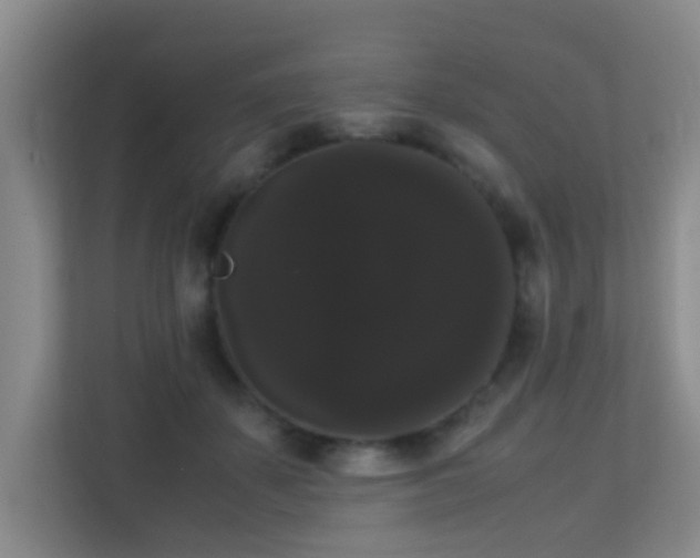 X0000113850507200909241250