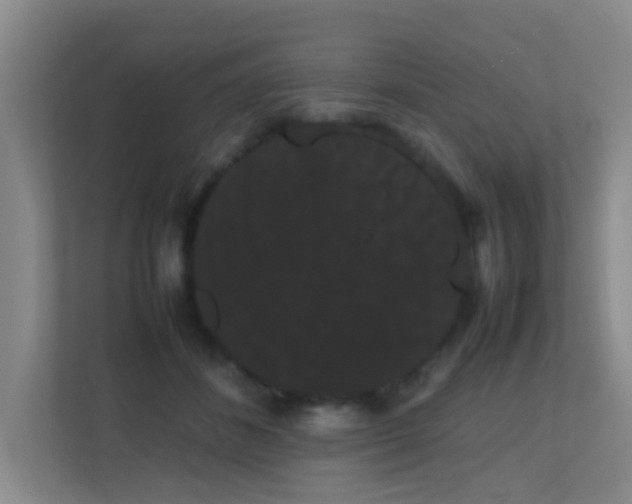 X0000113850508200909241250