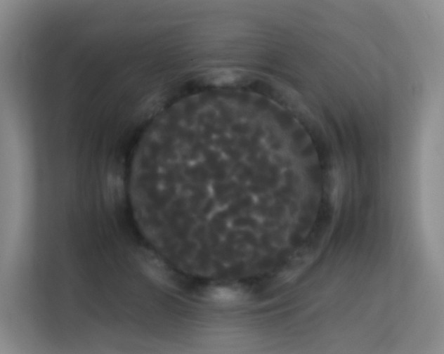 X0000113850510200909241250