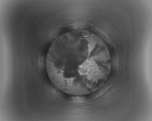 X0000113850511200909241250