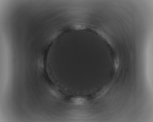 X0000113850512200909241250