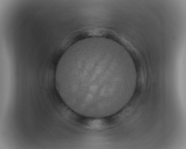 X0000113850513200909241250