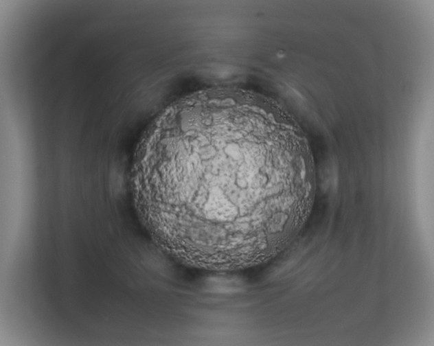 X0000113850515200909241250