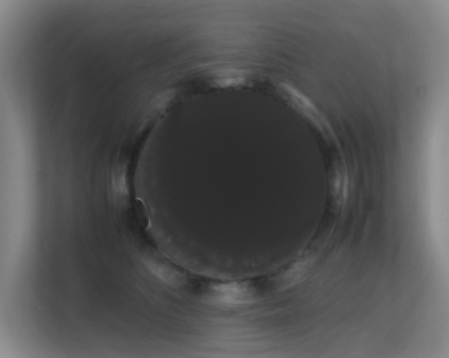 X0000113850516200909241250