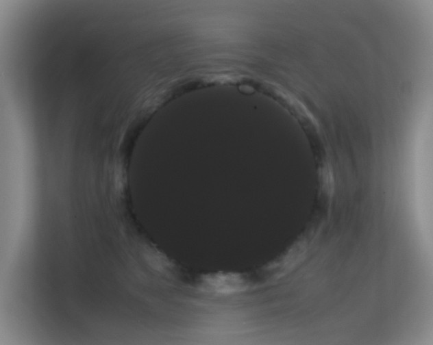 X0000113850517200909241250