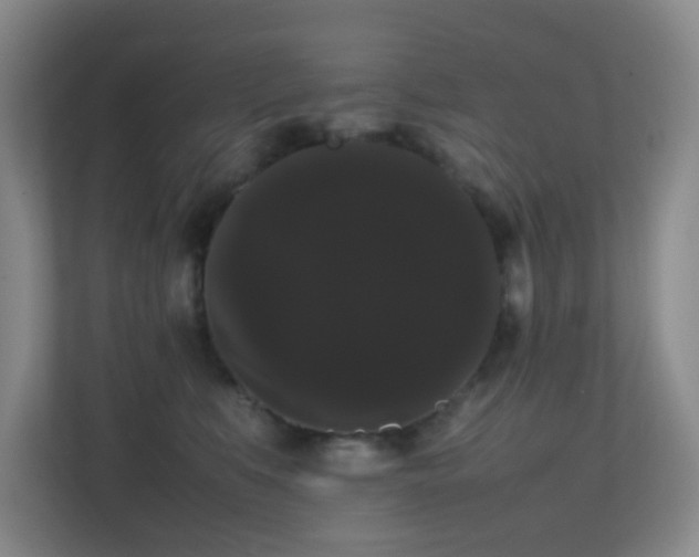 X0000113850519200909241250