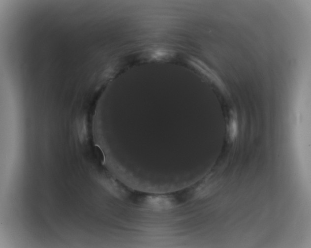 X0000113850520200909241250