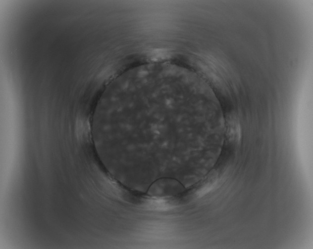 X0000113850523200909241250