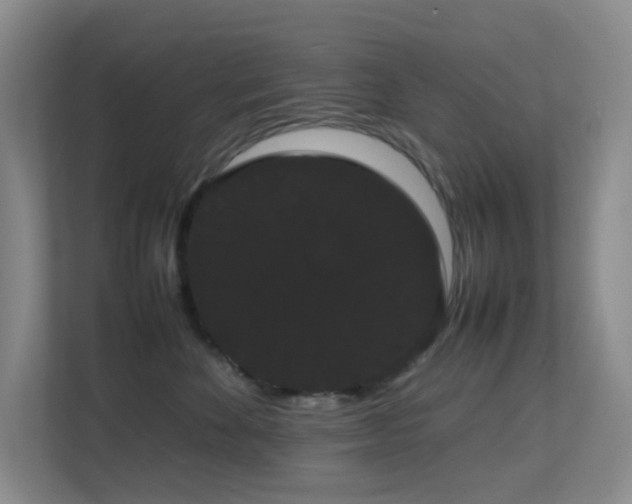 X0000113850524200909241250