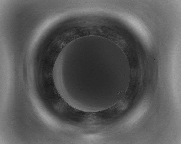 X0000113850526200909241250