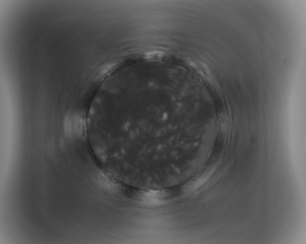 X0000113850527200909241250