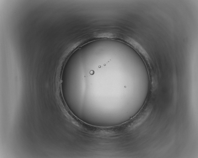 X0000113850529200909241249