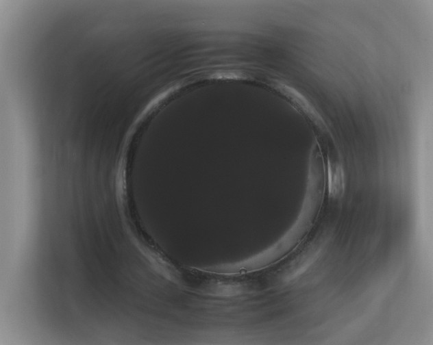 X0000113850531200909241249