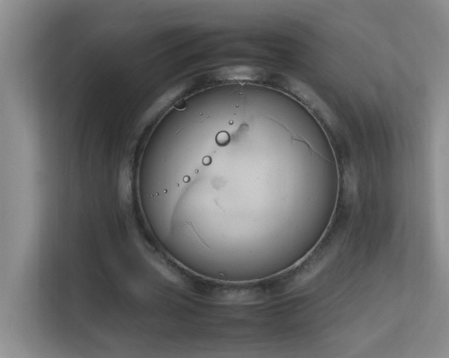 X0000113850533200909241249