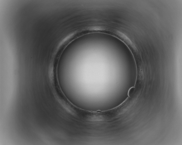 X0000113850535200909241249