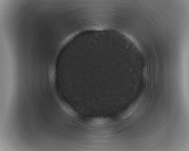 X0000113850540200909241249