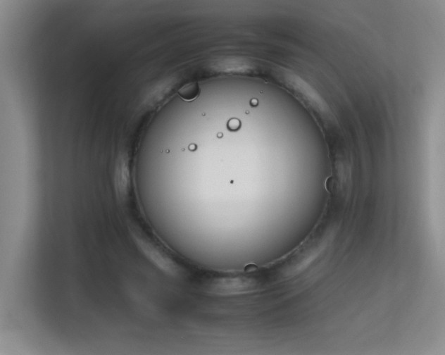 X0000113850541200909241249