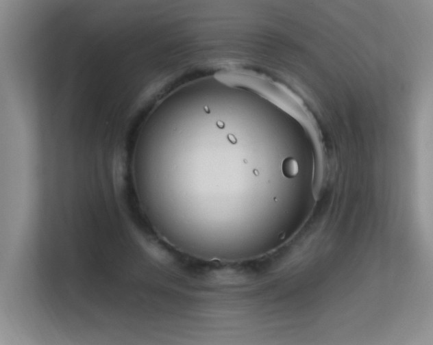 X0000113850544200909241250