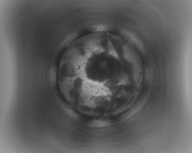 X0000113850545200909241250