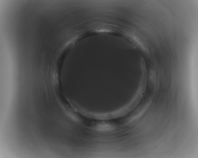 X0000113850547200909241250