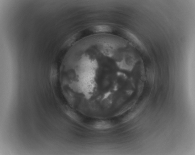 X0000113850549200909241250