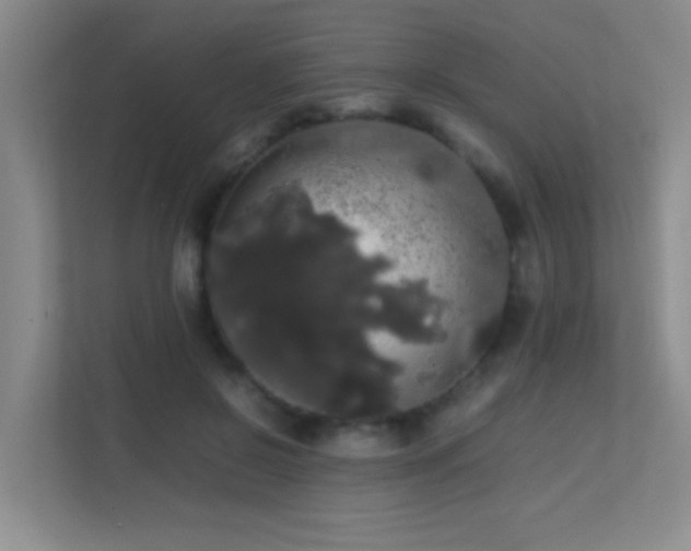 X0000113850550200909241250