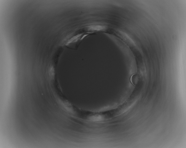 X0000113850551200909241250